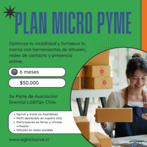 Plan Micro Pyme