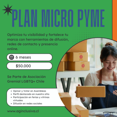 Plan Micro Pyme